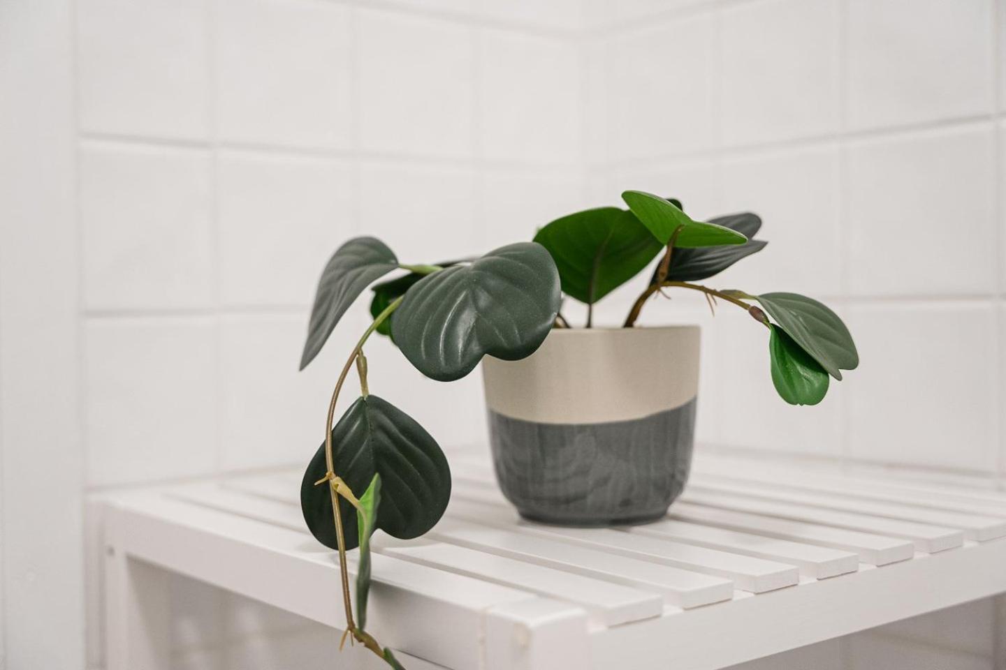 Guestready - A Warm City Refuge In Cedofeita Порто Екстериор снимка